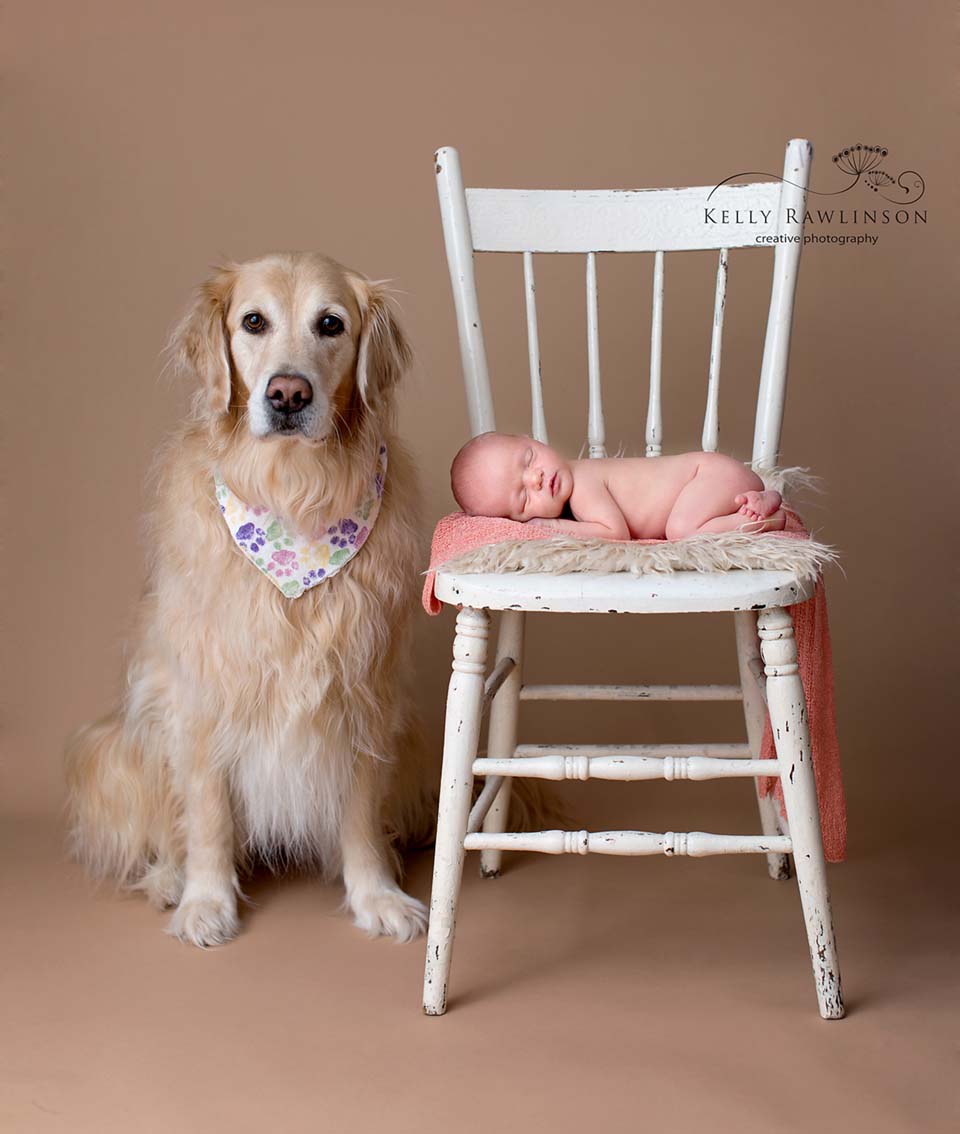 Newborn baby with pet dog, golden retriever