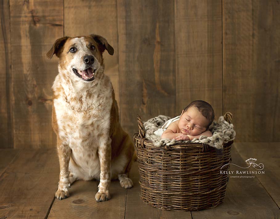 Newborn and Dog