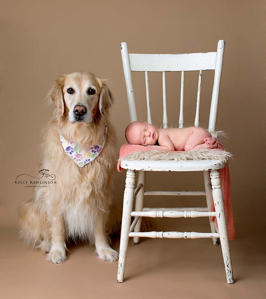 baby and golden retriever