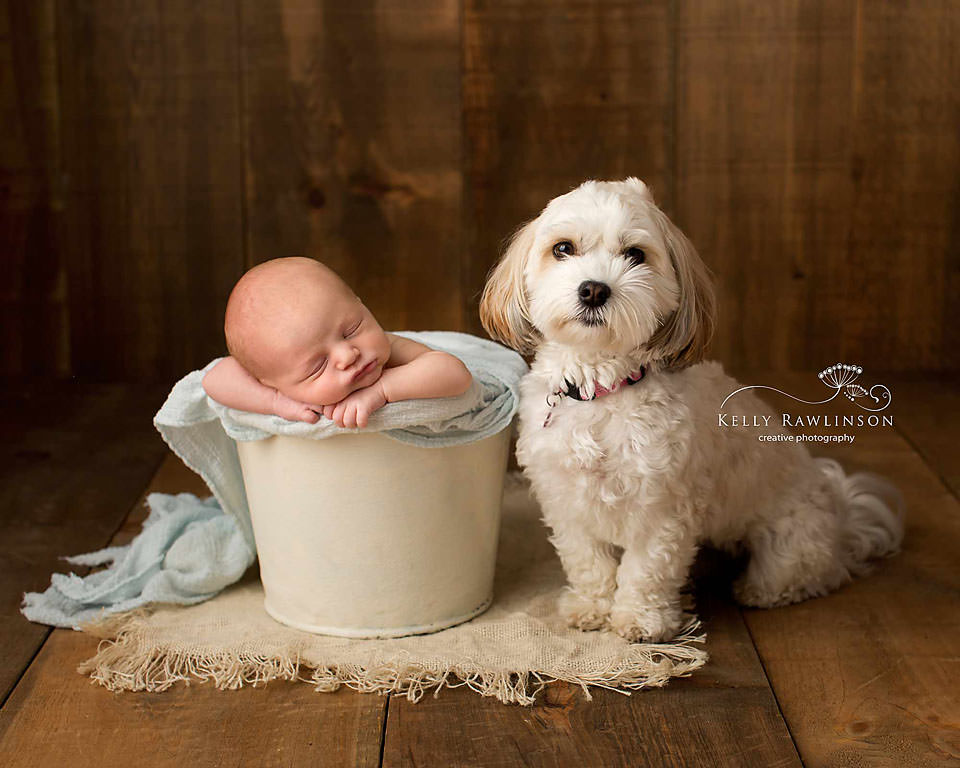 Newborn baby and Havanese